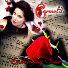 Time to Say Goodbye – Enchanting Voice